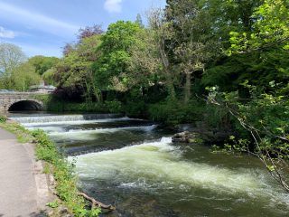 Tavistock Weir